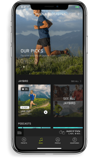jaybird vista release date